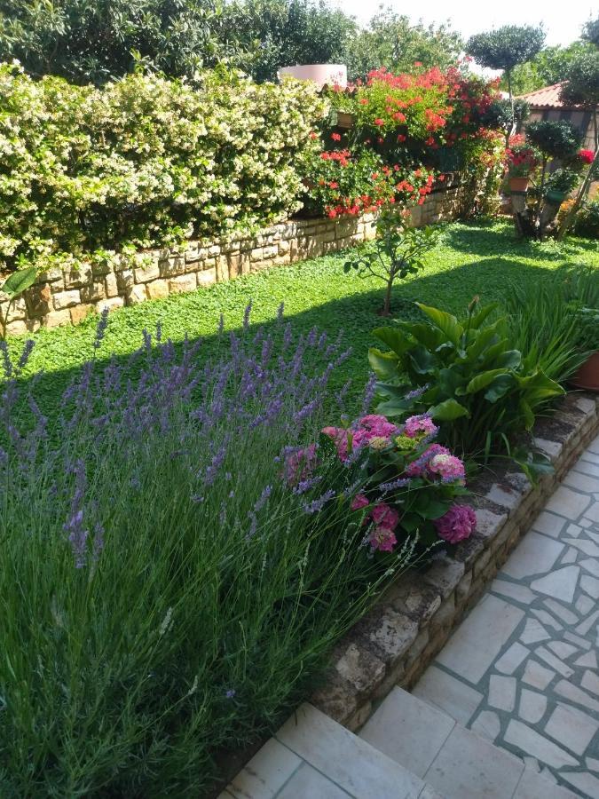 Zelena Oaza Apartment Novigrad Istria Exterior foto